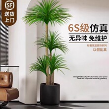 ����Gֲ��Ѫ���쾰�߶��p�ݿ͏d�҃��b������Ը߼�����ؔ[��