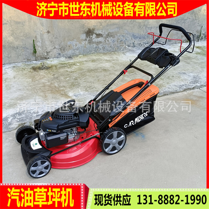 21寸草坪机 (1).jpg