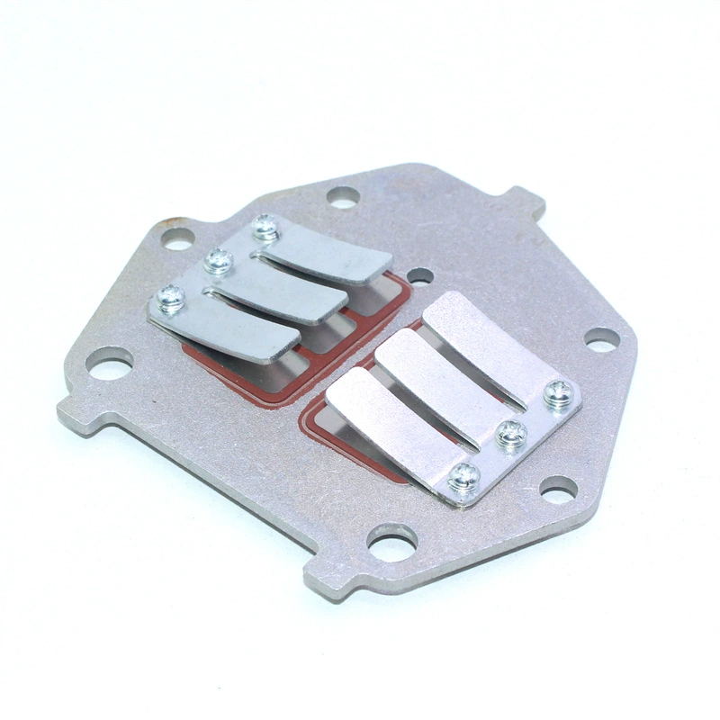 Dongfa 2 ход 9,8 лошадиных сил Наружный впускной клапан блока 3B2-02110-0 reed valve set