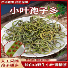 原产长白山肾精茶干石韦养生神经草黄金草茶伟肾正品野嗷嗷叫泡茶