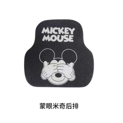 Avtomobil döşəmə paspasları Removal Mat - cartoon-10-back-row-5050cm-standard