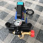 手提式打药机农用电动果树喷雾器12V48V60V220伏高压双缸柱塞药泵