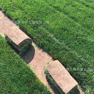 �����ļ������ƤͥԺ���޼��G���o�º����ݹ�������Ƥ��������ƺ