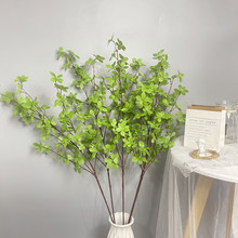 �ձ�����6�������ֲ�������Ի���ֲ�� ��ŷins��Լ�Ҿ�װ�ΰڷ�