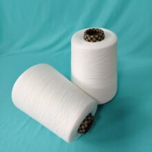 21S�oِĪ������ ������ܛ ���Ⱦɫ