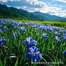 Rm ɽ|ݴ޸RA @G @ֹ̲ݻ