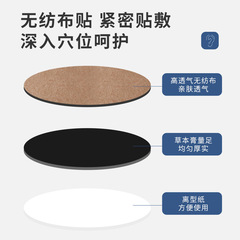 Top-quality Aconite Ear Acupoint Cold Compress Patch, Aconite Acupoint Patch, Tinnitus Plaster, Ear Health Patch Wholesale