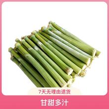 UNļNֲ피tN{ݰٺRɏN