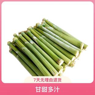 �������U�N���ļ��Nֲ��피t�N�����{�ݰٺ��������R��ɏ�N��