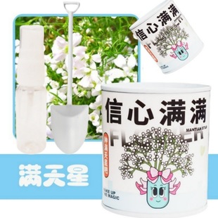 Planting Kidsren's Canned Flowers Magic Beans Creative Popular Potted Plants Mini Kindergarten Plant Blind Box Green Plant Cans