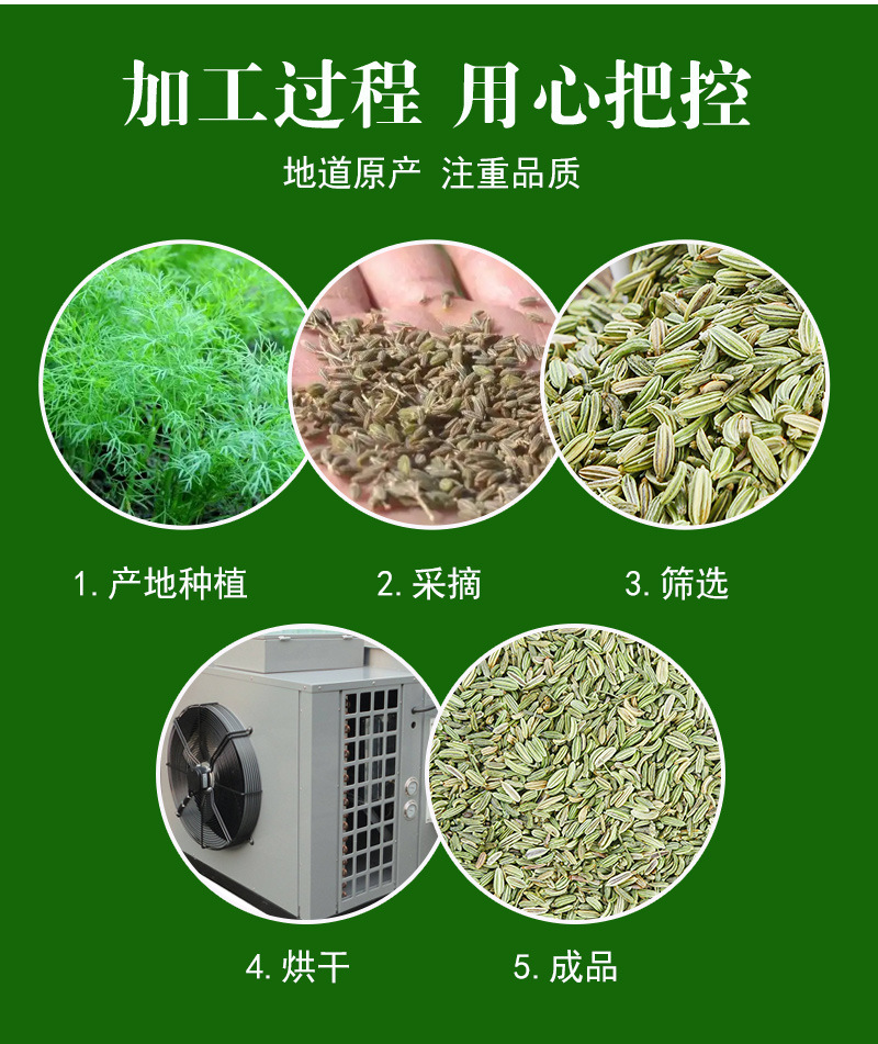 Fennel Seed (Foeniculum vulgare) — Dried Food-Herb Spice for Braising & Tea, 500g Bulk preparation