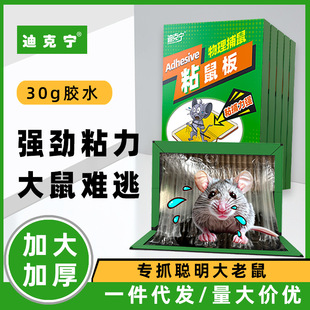 Cross-Border Sticky Mouse Board Wholesale Large Sticky Mouse Stickers Home Kitchen Mouse Killer Mouse Trap Strong Glue Large Mouse Stickers