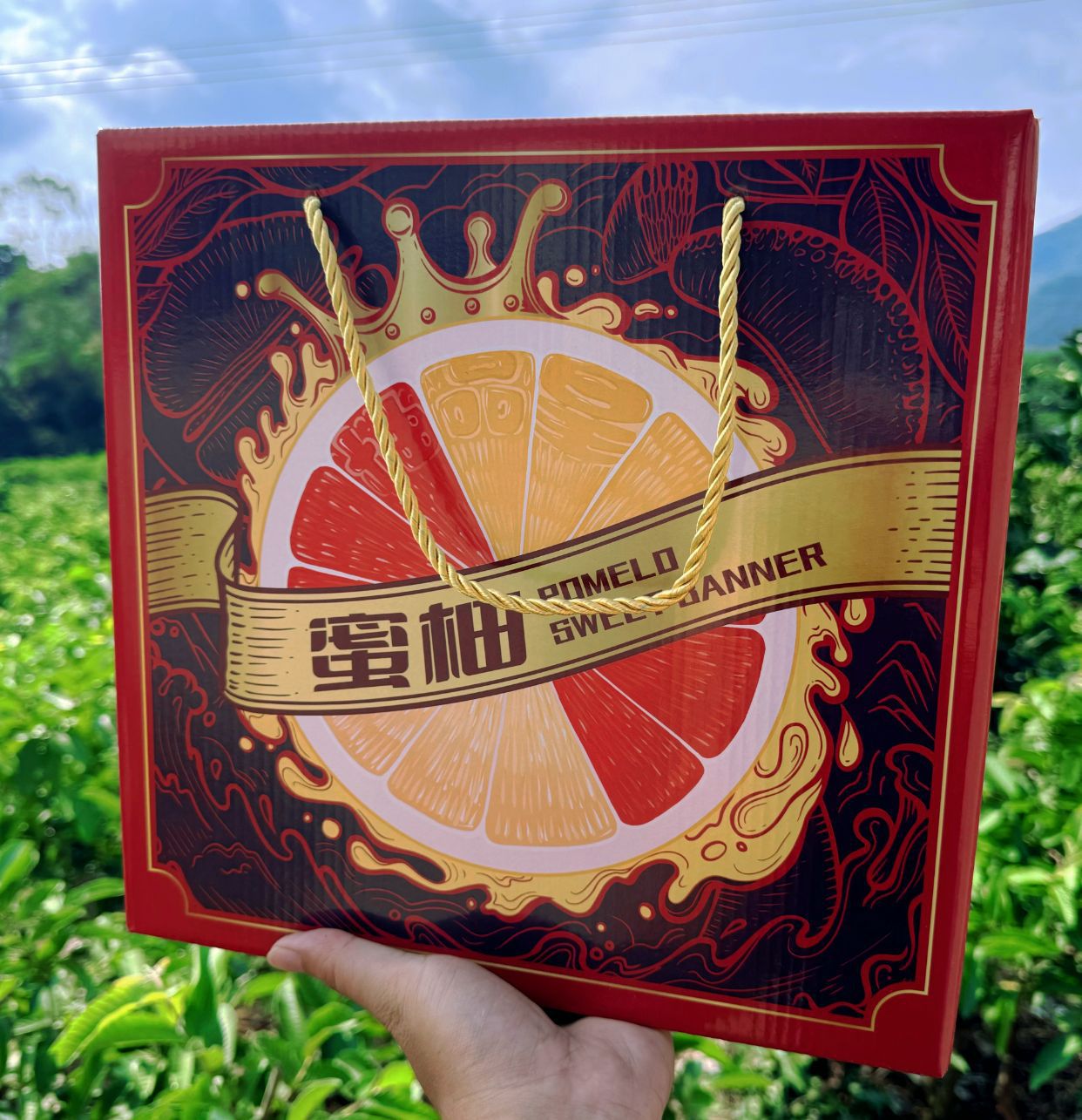 微信图片_20240920221038