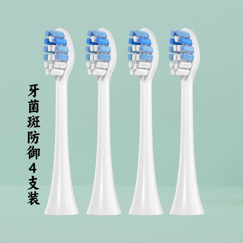 플라크 방어