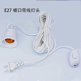 灯头、灯座;接线插座;电源插头