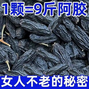 �½����Ѹɇ��xح�a�ڼӁ��o���ЋD�o�������l�ڼӁ�