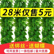 �����b��ړ��Gֲ�ٗl�����٘��~���ϻ���ˮ�ܵ����{���ӾG�~����