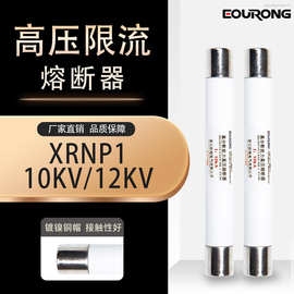 高压熔断器XRNP1-10-12KV0.5A1A2A3保护险熔管芯PT限流熔断器底座