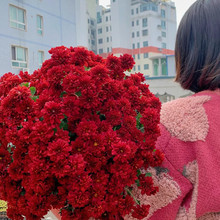 tɫʺջNǹշNСrմ̨ͥ͟ԺֲN