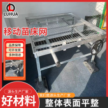 移动苗床网 热镀锌育苗花卉大棚蔬菜种植网架 室内潮汐苗床网