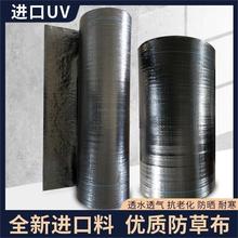 厂家直销PE防草布黑色除草布大棚盖草布园艺地布除草布农用抑草布