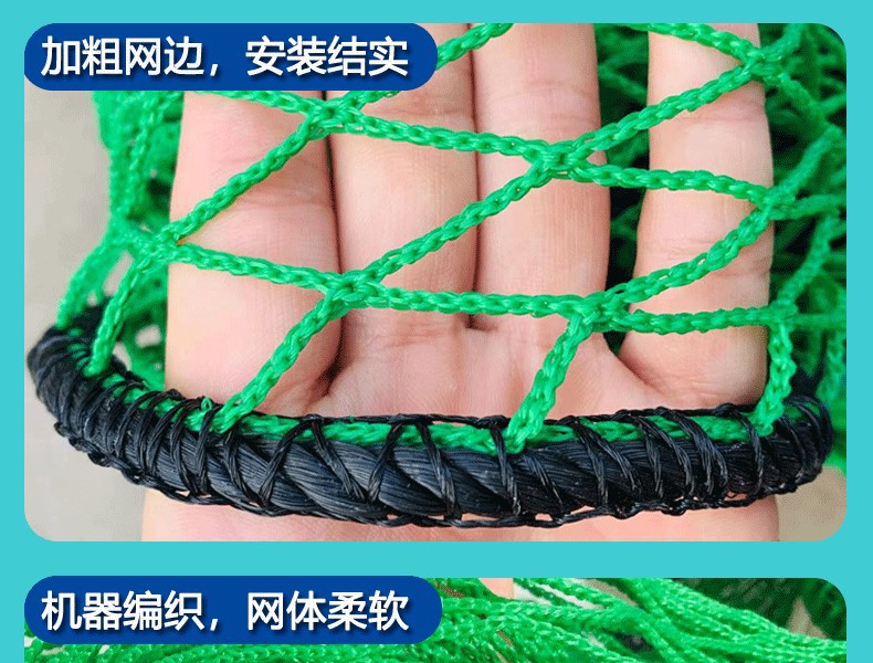 微信图片8