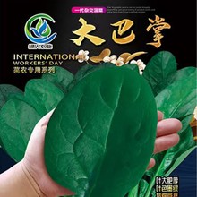 A~˷N ͺˈ@r~˷N ̨ļN