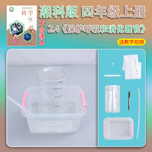 ��ư����꼉�σ�С�W���ƌW������b�������ı��o��������������