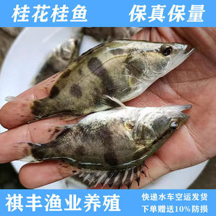 ���~�絭ˮ�~���Bֳ��Ʒ�Z�~����~���Z�����N���Z�����~�籬��