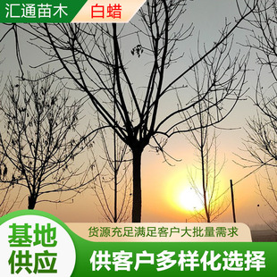 ��Ϟ���������D�����е�ͥԺ�^�p���@��·�^�~�L�����Ϟ��