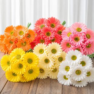 Դ�^���S�羳���l��ɫ������޾ռٻ� �Ҿӿ͏d���һ�Y�b[��
