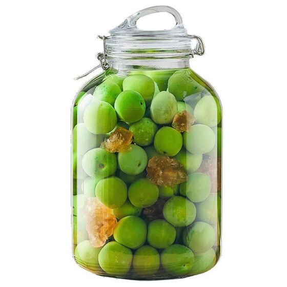 Wine Glass Bottle Special Wine Bottle Empty Bottle Green Plum and Myrica rubra Wine Wine Container Food Grade Sealed Jar Wine Jar