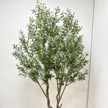 ϙ䱱WLҾطֲԼ٘҃쾰^辰