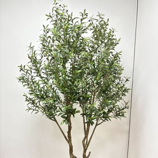 ������ϙ�䱱�W�L�Ҿ���ط���ֲ�����Լ٘��҃����쾰�^�辰