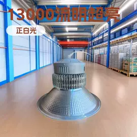其他专用灯具;灯柱灯杆