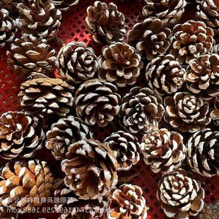 �����ɹ����}�Q�ɹ����ɹ�ˢ���ɹ�