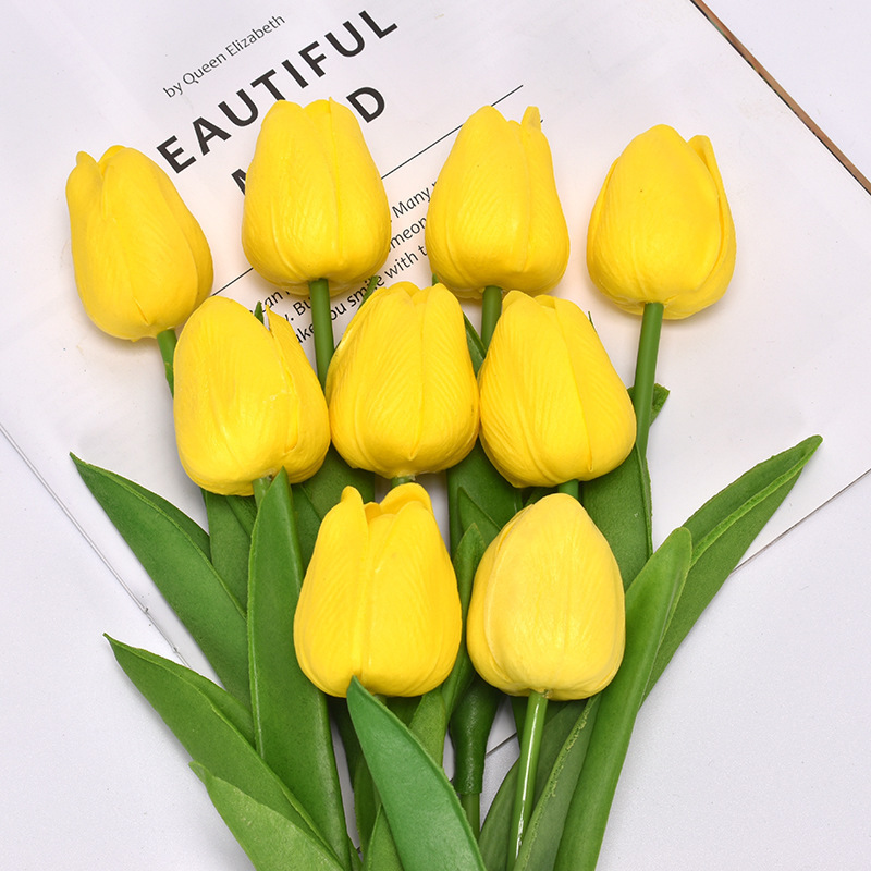 Yellow tulip