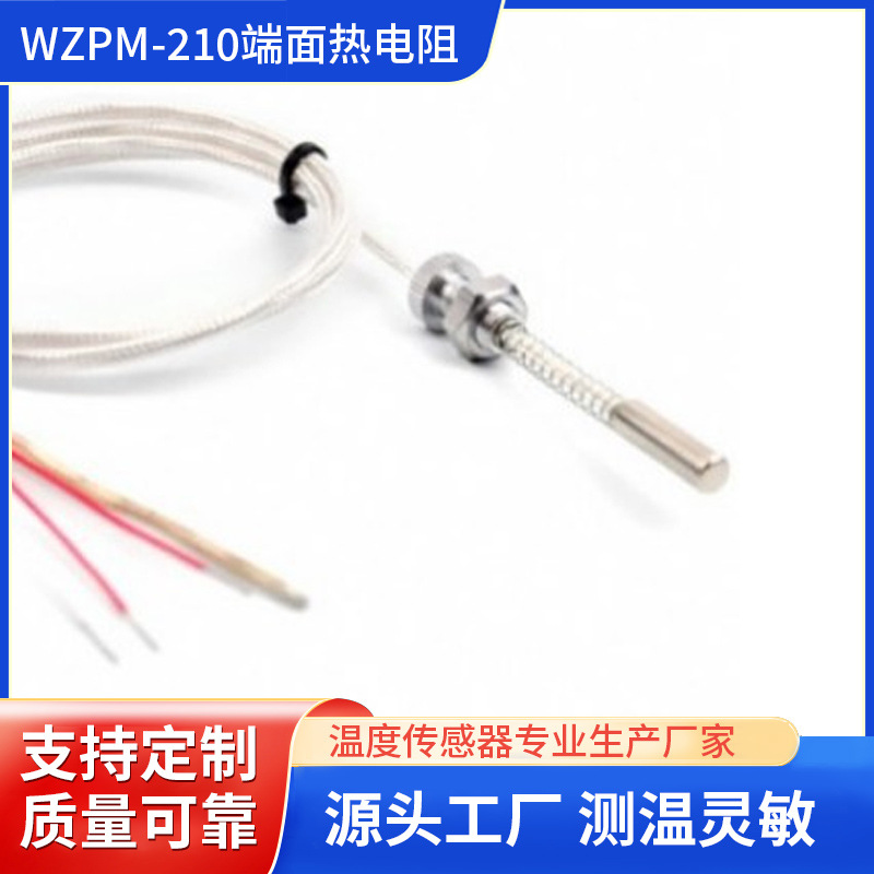 WZPM-210端面热电阻PT100温度传感器 电机轴承温控测温