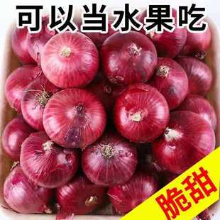 ���[���r��Ƥ�tƤ�SƤ����Ԫ�[5��10��F�ڈA�[�^�r��2�����l�߲�