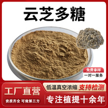 云芝多糖 80%高含量云芝菌丝体多糖 源头厂家食品级原料药食同源
