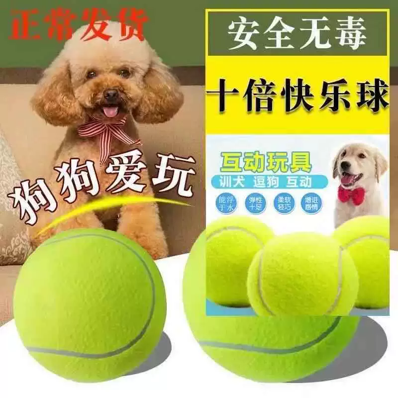 Toy, tennis rubber elastic mesh for training, can bite, pet