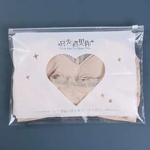 Fashionable Women's Swimsuit Pe Zipper Bag, Small Fragrant Transparent Frosted Independent Packaging Bag, Intimates Frosted Sealed Bag