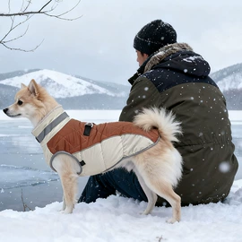 宠物鞋靴;狗狗服装