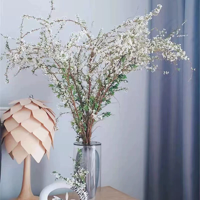 Свежие ветки гортензии, гидропонные сушеные ветки, ленивые зеленые растения, комнатные цветы, цветущие при воздействии воды, двулепестковая цветочная композиция в горшке