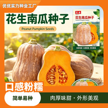 奶香甜糯花生南瓜种子春夏秋四季懒人味香超甜干面迷你花生小南瓜