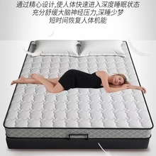 乳胶床垫软硬两用1.8米席梦思床垫经济型家用椰棕弹簧垫