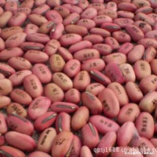 �tɫħ�����l�������׃��@�W������YƷ����֘ӿ�΢���^�����t��