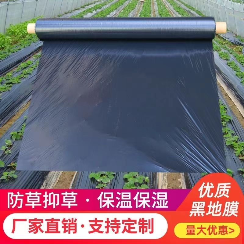 Vegetales agrícolas Huerto negro película escarda espesado película de plástico fresa invernadero plantación anti-hierba película hidratante aislamiento