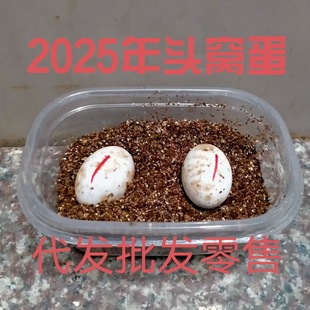 �����ܾ��ɷ����������{����������������������������������ˮ��