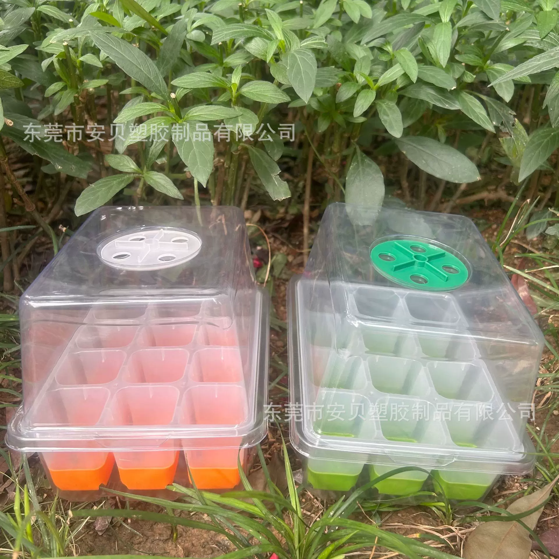 厂家直销双色12格硅胶瓜果种植育苗盘reusable silicone tray